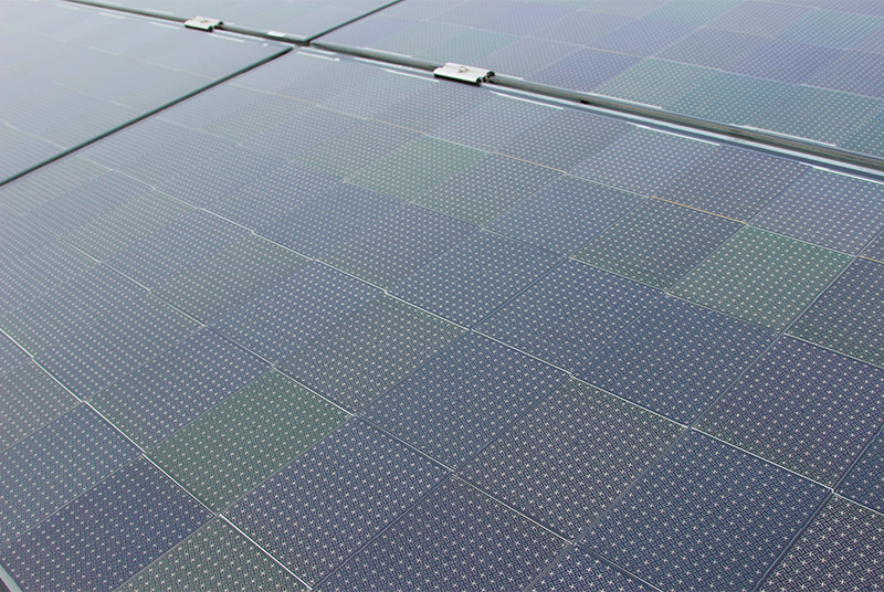 Solarpark Rickelshausen