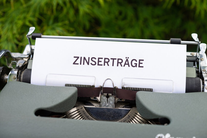 Zinserträge